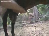 French homo enjoys masturbating sheep's shlong